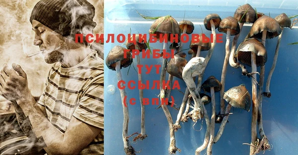 каннабис Арсеньев
