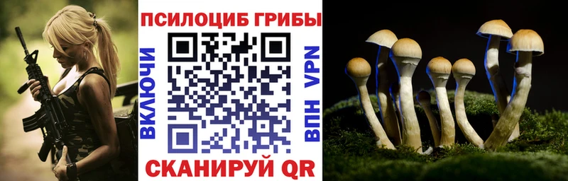 Псилоцибиновые грибы Cubensis  Мещовск 